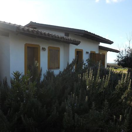 Willa Agriturismo Su Nuratolu Sagama Zewnętrze zdjęcie