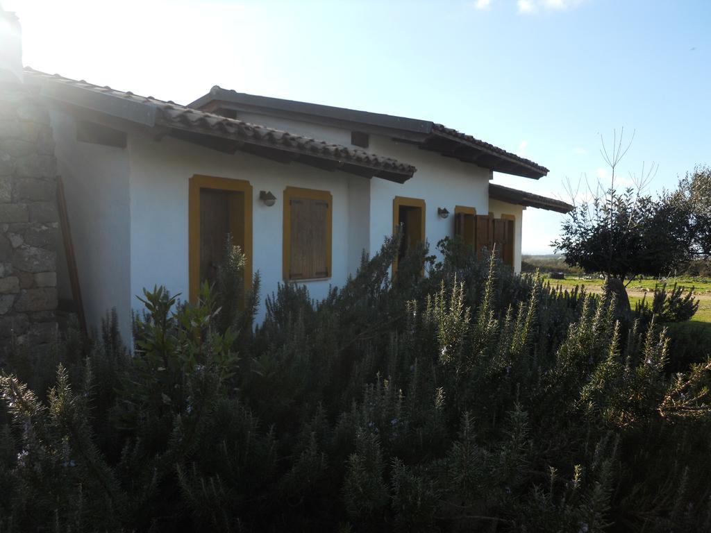 Willa Agriturismo Su Nuratolu Sagama Zewnętrze zdjęcie