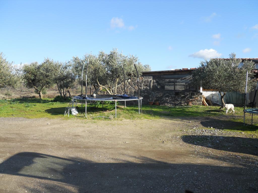 Willa Agriturismo Su Nuratolu Sagama Zewnętrze zdjęcie