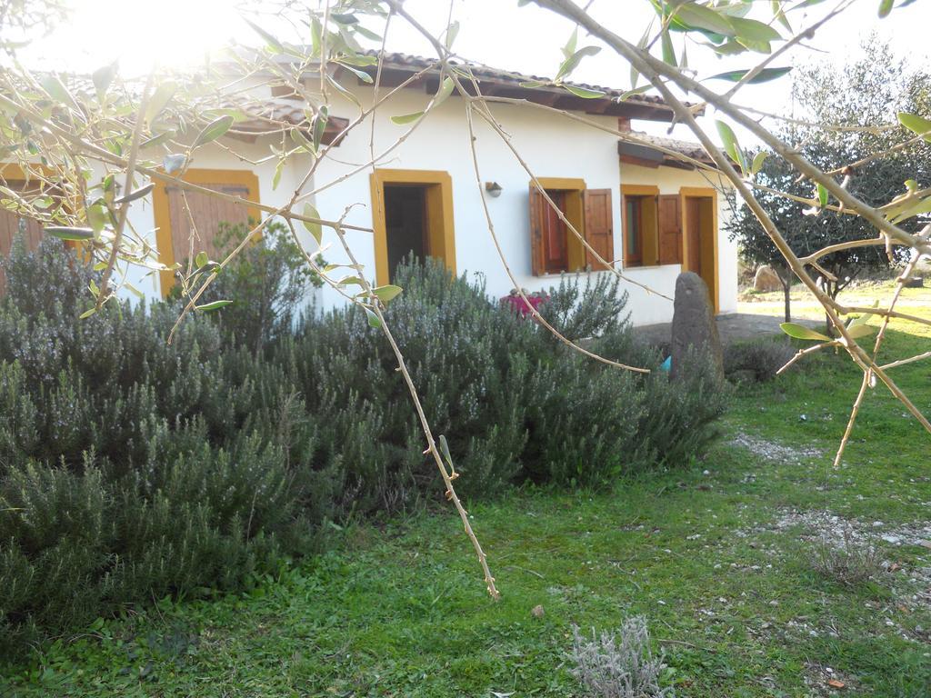 Willa Agriturismo Su Nuratolu Sagama Zewnętrze zdjęcie